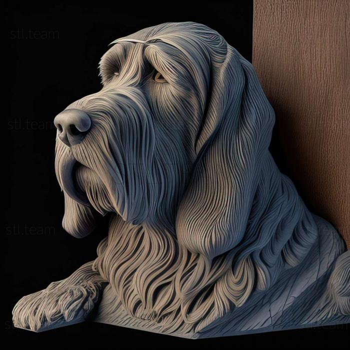 Animals Italian spinone dog